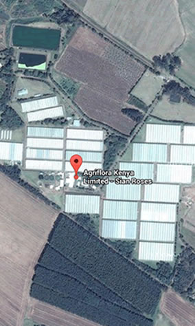 Agriflora Kenya Location