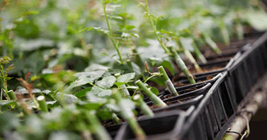 propagation unit