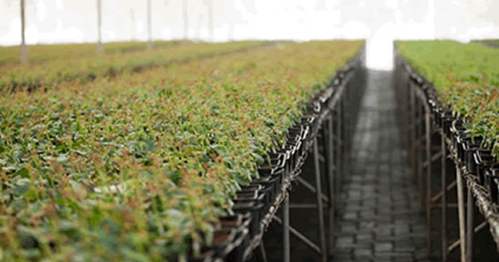 propagation unit