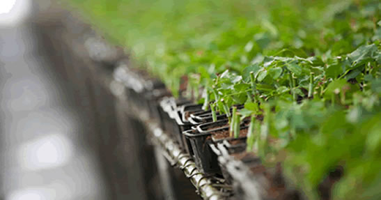 propagation unit