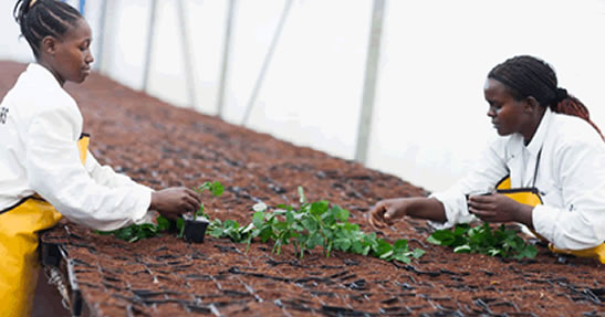 propagation unit